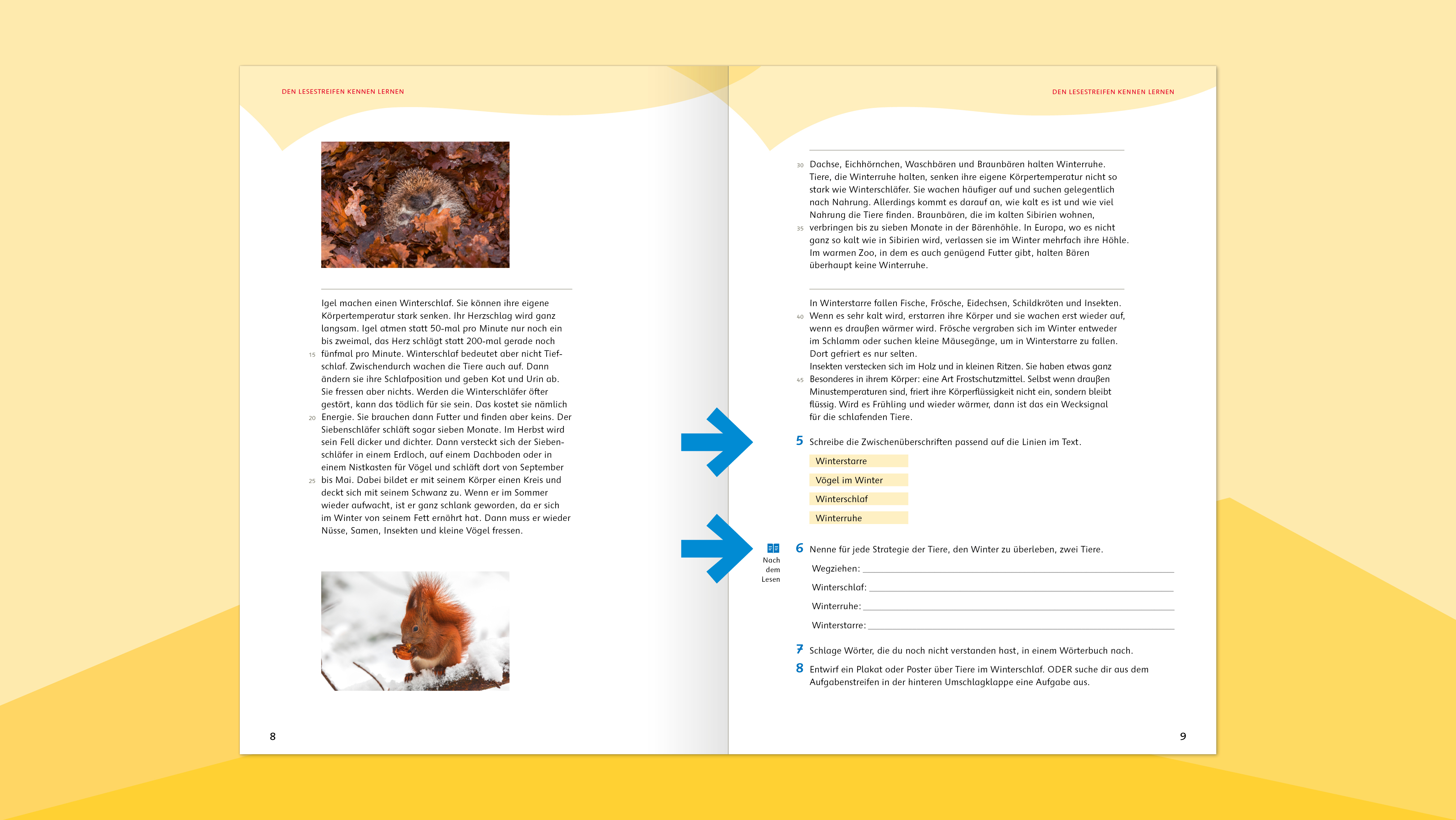Eine Doppelseite aus dem Trainingsheft "Lesen macht stark" für die 5./6. Klasse mit verschiedenen Aufgabenformaten.