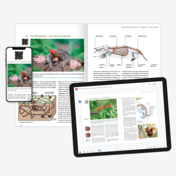 Biosphäre-Schulbuchseiten abgebildet als Print-Seite, im Smartphone-Screen und im Tablet-Screen