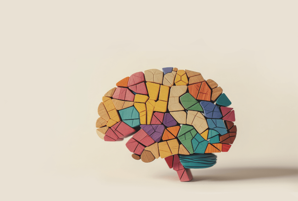 Colorful wooden puzzle brain model. Neurodiversity concept, human mind complexity, creativity, brainstorming and emotional intelligence.
Colorful wooden puzzle brain model. Neurodiversity concept, human mind complexity, creativity, brainstorming and emotional intelligence.