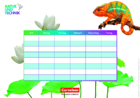 Stundenplan - Chamäleon