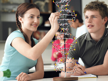 Schülerin und Schüler am Modell der DNA im Biologie Unterricht
