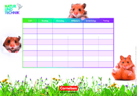 Stundenplan - Hamster