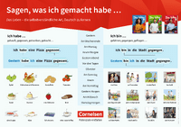 Lernplakat-Perfekt