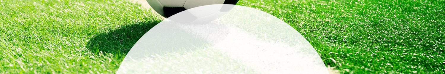 Unterrichtsmaterial zur Fußball-WM