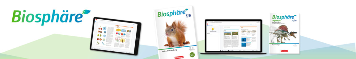 G9 Baden-Württemberg ab 2026