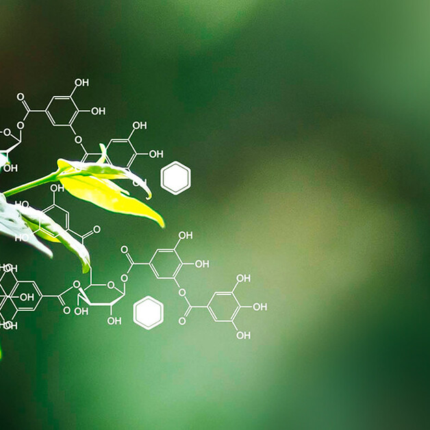 Unterrichtsmaterial MINTFÄCHER Biologie Cornelsen
