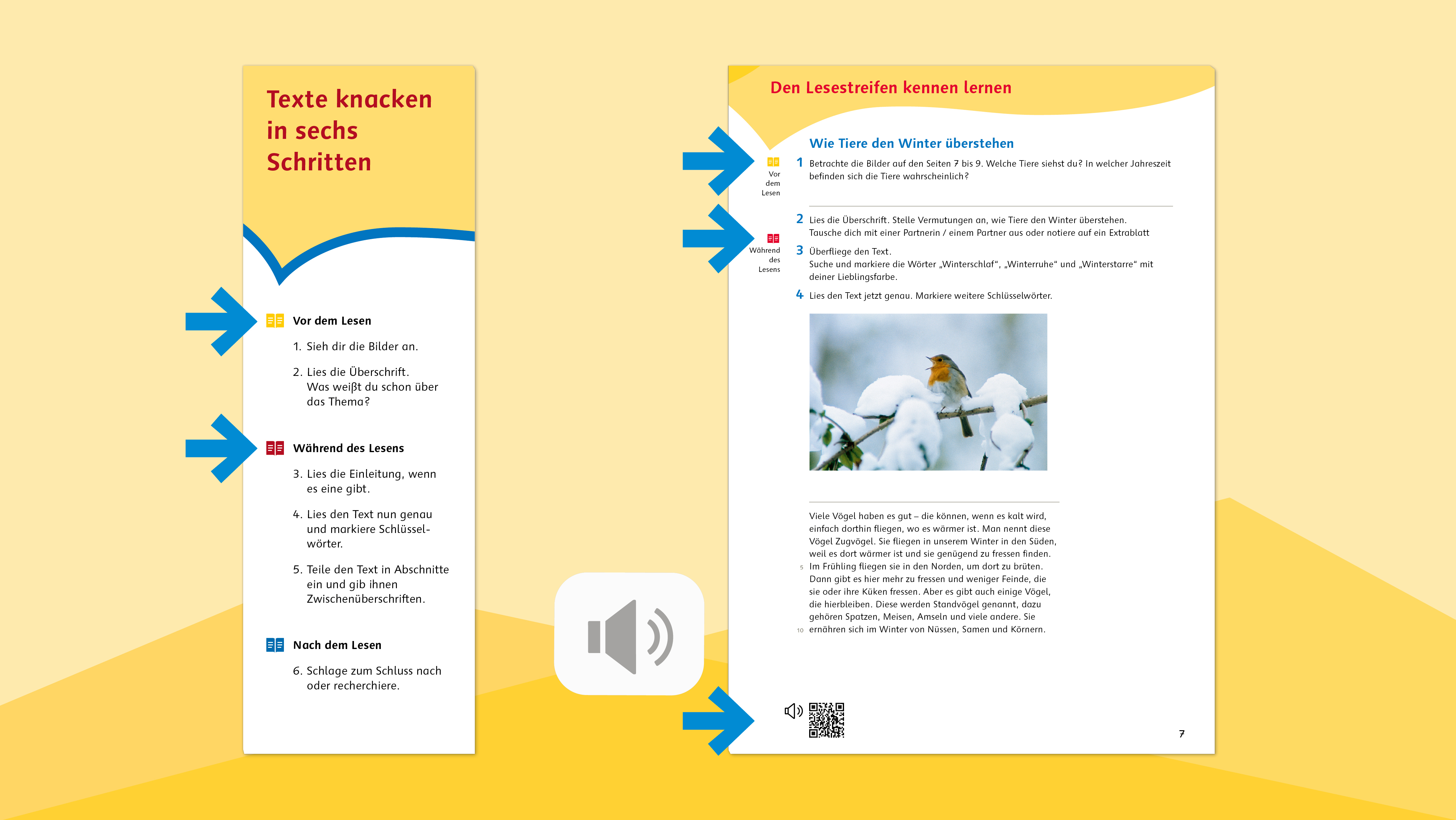 Die Anleitung zum "Texte knacken in sechs Schritten" aus dem Trainingsheft "Lesen macht stark" für die 5./6. Klasse sowie eine Seite aus dem Heft mit Hinweis zum Audio-Material.