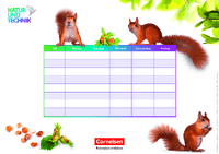 Stundenplan - Eichhörnchen