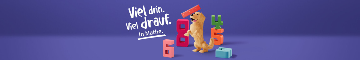 Viel drin. Viel drauf. Mit Jo-Jo Mathematik