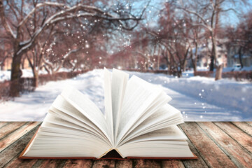 aufgeschlagenes Buch im Winter