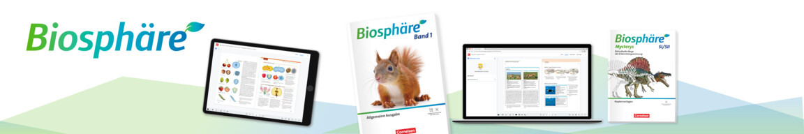 Gymnasium Ausgabe A ab 2025